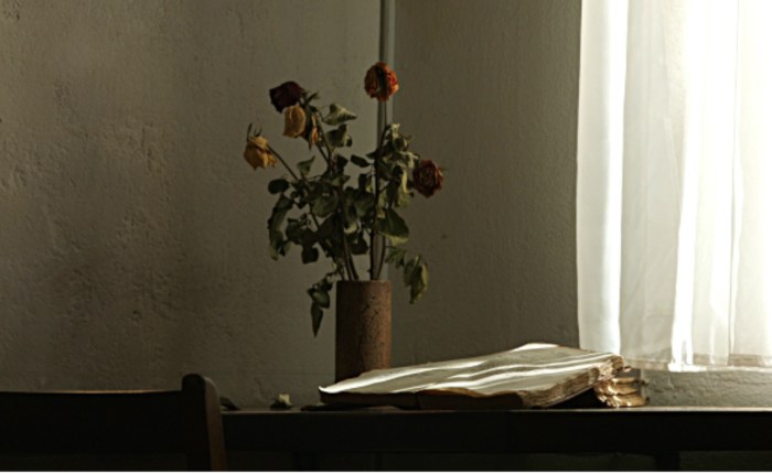 O amor que&nbsp;fica